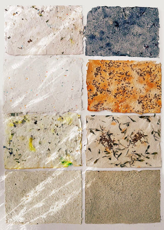 Recycle to Bloom: Papermaking with Lulu Luyao Chang (June 20th Class)