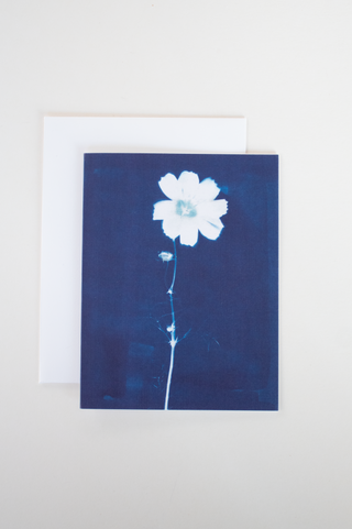 Cyanotype Greeting Card