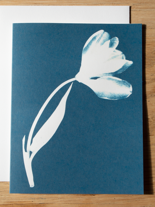 Cyanotype Greeting Card