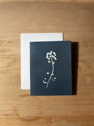 Cyanotype Greeting Card